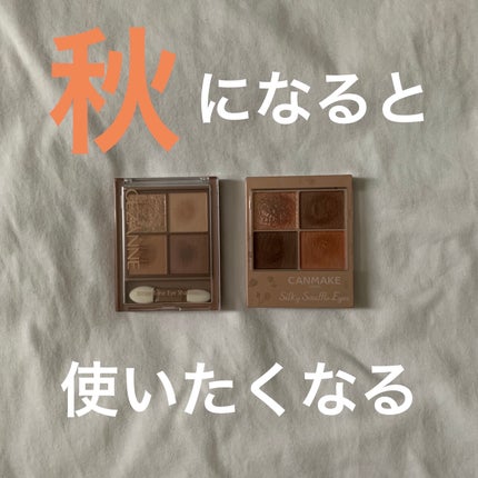 シルキースフレアイズ(マットタイプ)/キャンメイク/アイシャドウパレットを使ったクチコミ(1枚目)