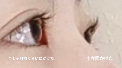 ちいさいめ on LIPS 「不器用でもかんたんセルフまつげパーマ左目が重い二重でお店でやっ..」(3枚目)