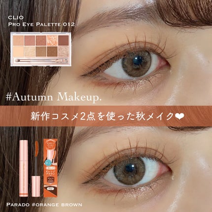 プロ アイ パレット/CLIO/アイシャドウパレットを使ったクチコミ(1枚目)