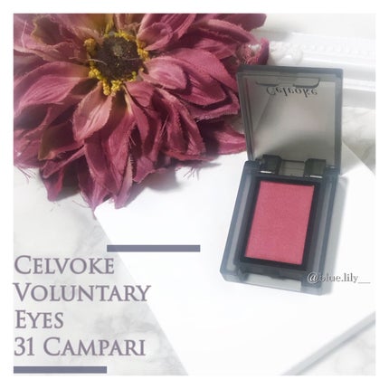 セルヴォーク ヴォランタリー アイズ/Celvoke/単色アイシャドウを使ったクチコミ(1枚目)