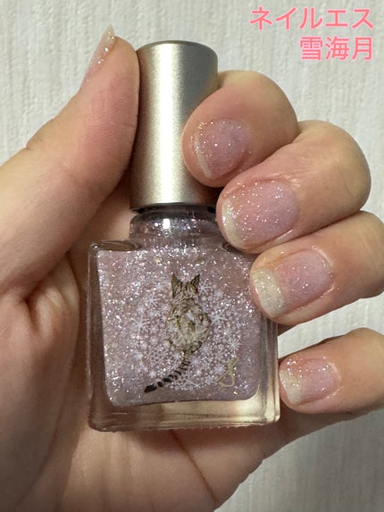 ネイルエス/ nail S(ネイルエス) /マニキュアを使ったクチコミ(1枚目)