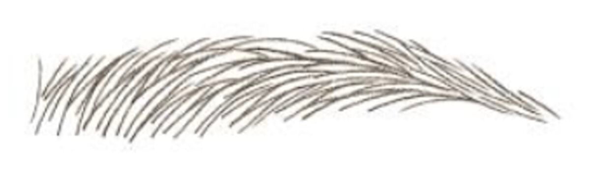 スリムエキスパートR 03 ディープブラウン