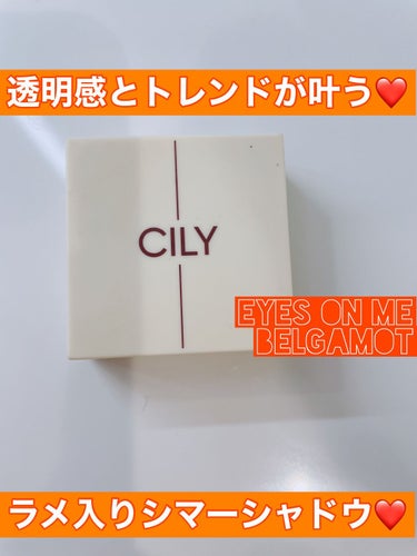 アイズオンミー/CILY/パウダーアイシャドウを使ったクチコミ（1枚目）