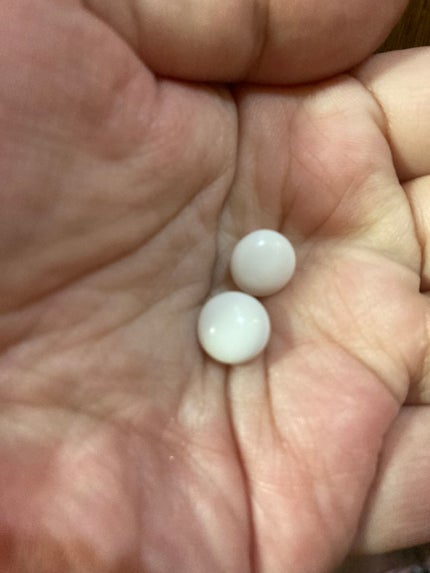 UV気にならないサプリ/ファイン ジャパン/美容サプリメントを使ったクチコミ(4枚目)