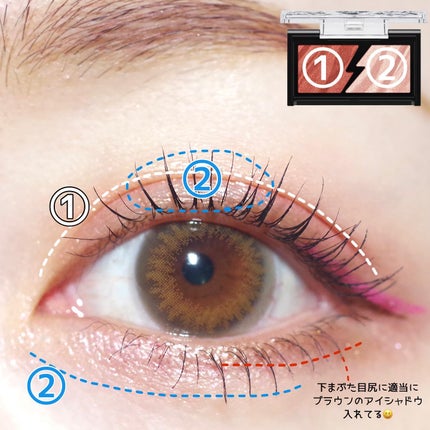 エレクトリックショックアイズ /KATE/アイシャドウパレットを使ったクチコミ(5枚目)