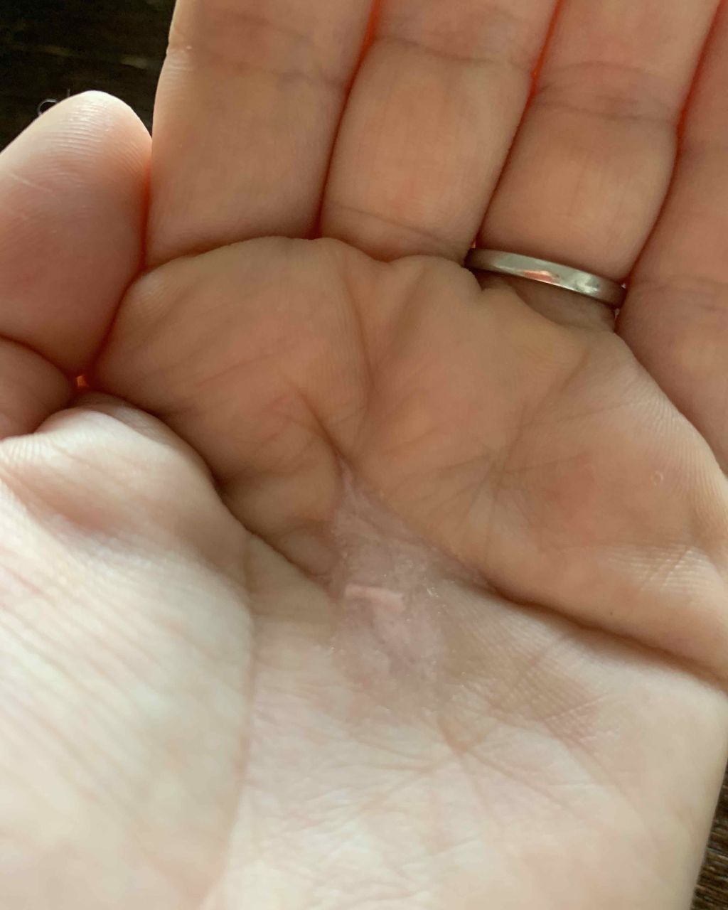 メテオリット バーズ/GUERLAIN/化粧下地を使ったクチコミ(2枚目)