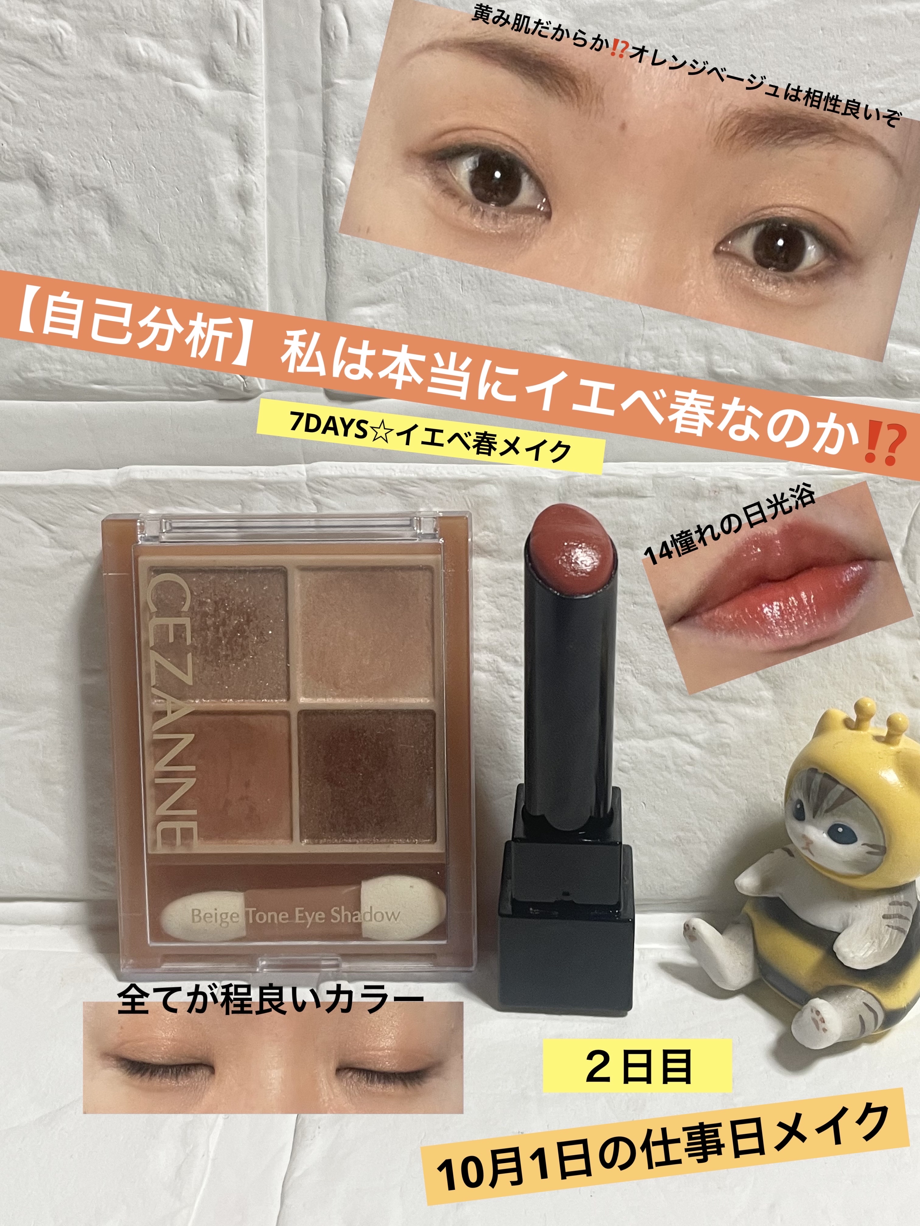 ベージュトーンアイシャドウ/CEZANNE/アイシャドウパレットを使ったクチコミ（1枚目）