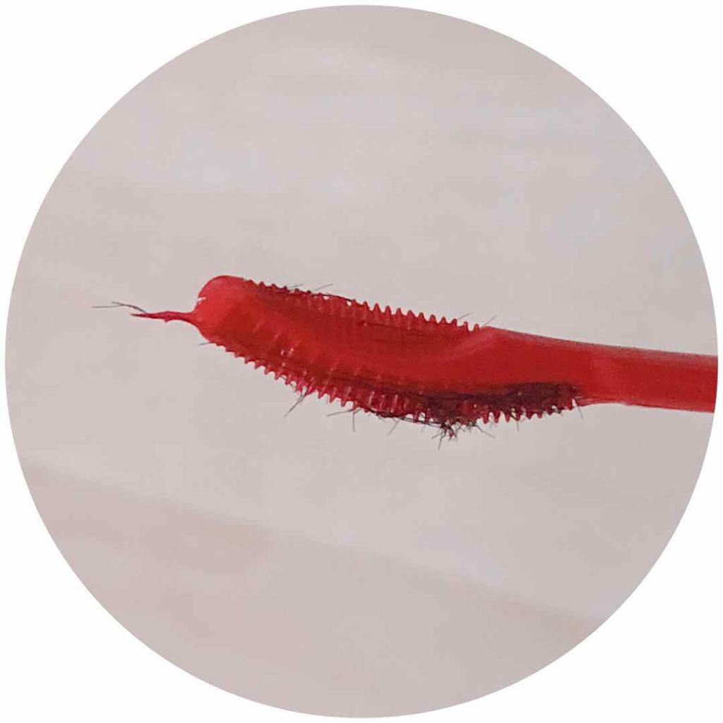 ラッシュエキスパンダー ロングロングロング/MAJOLICA MAJORCA/マスカラを使ったクチコミ（3枚目）