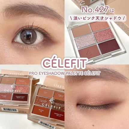 プロアイシャドウパレットセシル/CELEFIT/アイシャドウパレットを使ったクチコミ(1枚目)