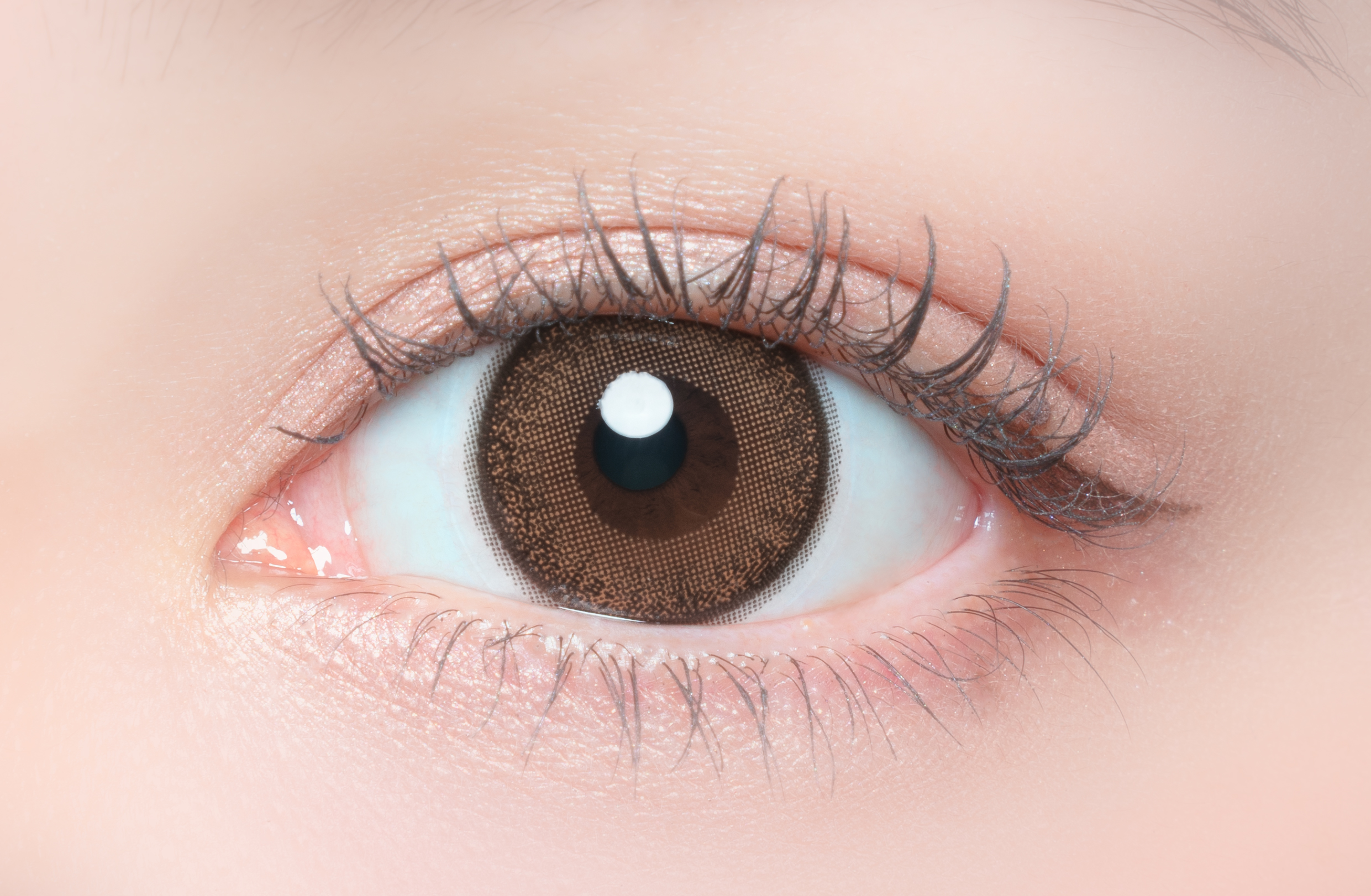 FLANMY TORIC 1day メープルシフォン