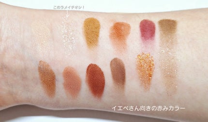 エクスプローラ12色 動物アイシャドウパレット/PERFECT DIARY/アイシャドウパレットを使ったクチコミ(3枚目)