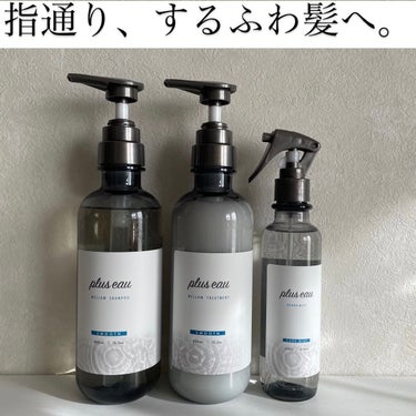 ハイドロミストN/plus eau/アウトバストリートメントを使ったクチコミ（1枚目）