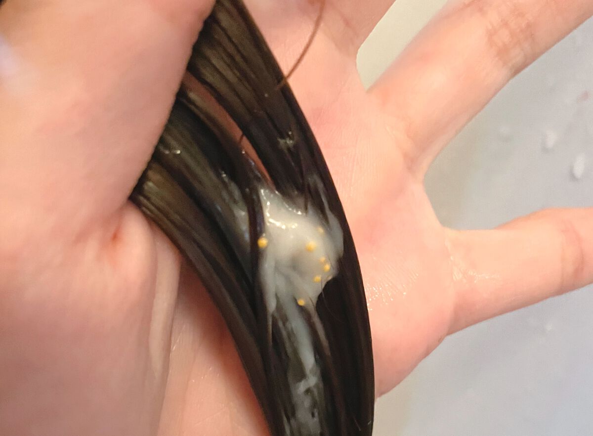 パンテーンマカロン ヘアマスク うるつやリッチ/パンテーン/ヘアマスク・ヘアパックを使ったクチコミ(4枚目)