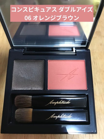 コンスピキュアス ダブルアイズ 06 オレンジブラウン/Amplitude/アイシャドウパレットの画像