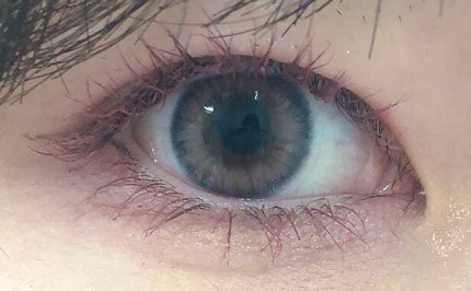 グロウフルールチークス/キャンメイク/パウダーチークを使ったクチコミ(1枚目)