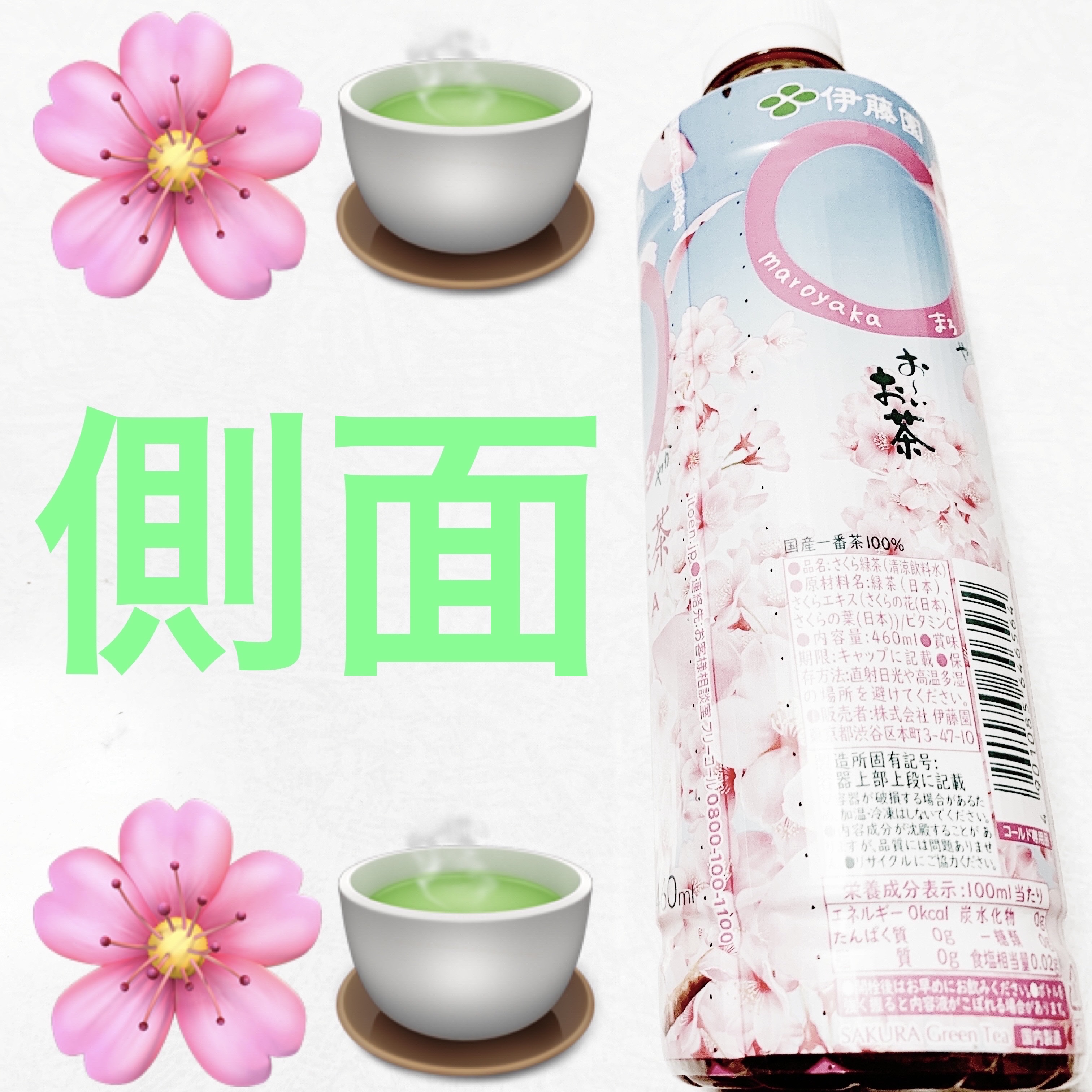 おーいお茶　◯（まろ）やか　さくら緑茶/伊藤園/美容ドリンクを使ったクチコミ（2枚目）