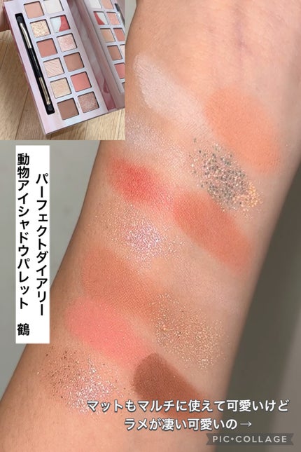 エクスプローラ12色 動物アイシャドウパレット/PERFECT DIARY/アイシャドウパレットを使ったクチコミ(3枚目)