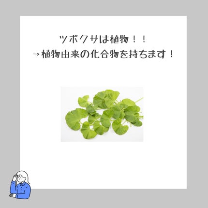 ゆ on LIPS 「【そもそもCICAって何??】CICAとは、美容の分野において..」(8枚目)