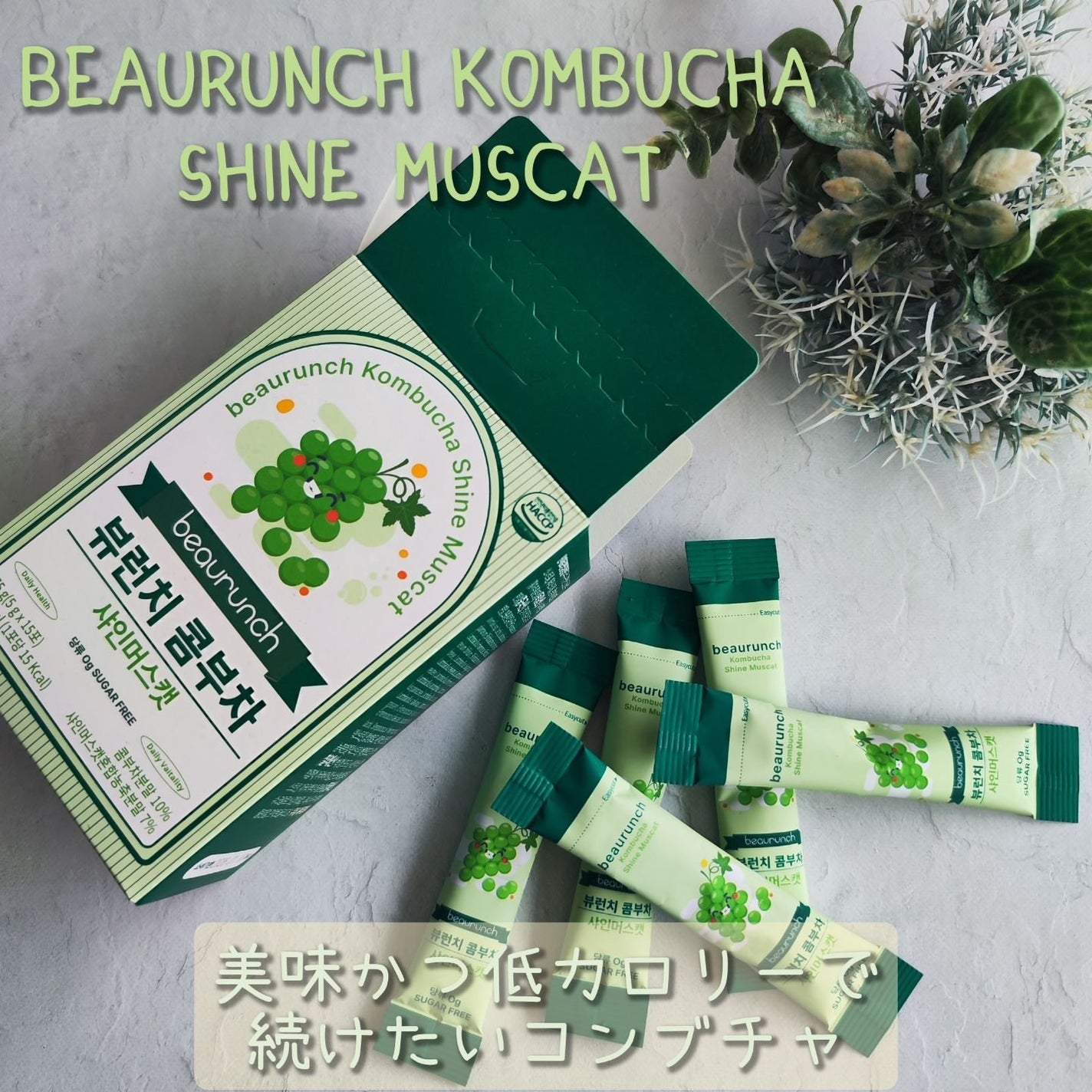 コンブチャ/ビューランチ/コンブチャを使ったクチコミ(1枚目)