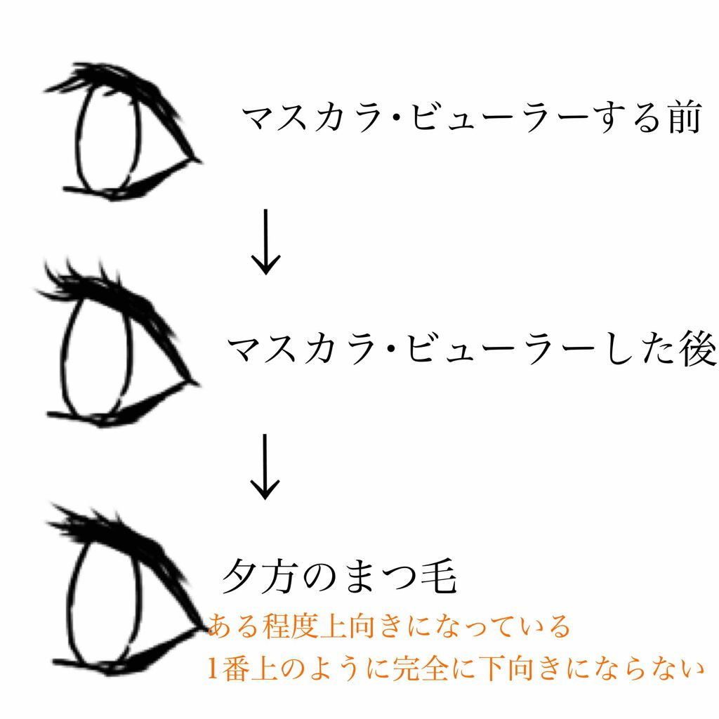 クイックラッシュカーラー　ロングマスカラ 02 ブラウン/キャンメイク/マスカラを使ったクチコミ（3枚目）