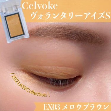 セルヴォーク ヴォランタリー アイズ/Celvoke/パウダーアイシャドウを使ったクチコミ（1枚目）