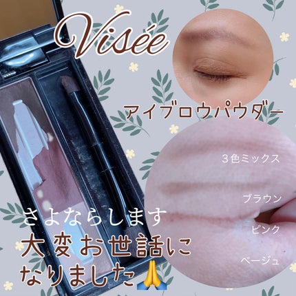 ヴィセ リシェ アイブロウパウダー/Visée/パウダーアイブロウを使ったクチコミ(1枚目)