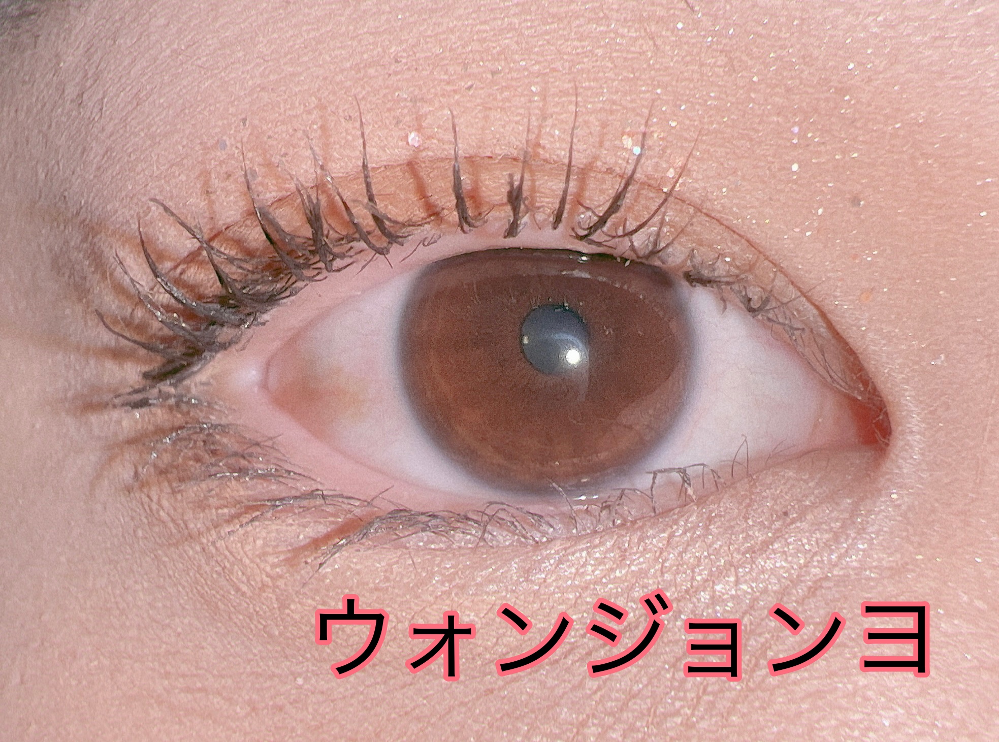 「塗るつけまつげ」自まつげ際立てタイプ/デジャヴュ/マスカラを使ったクチコミ（3枚目）