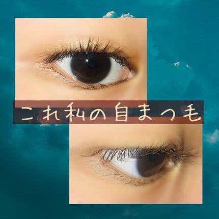 「塗るつけまつげ」ロングタイプ/デジャヴュ/マスカラを使ったクチコミ(1枚目)