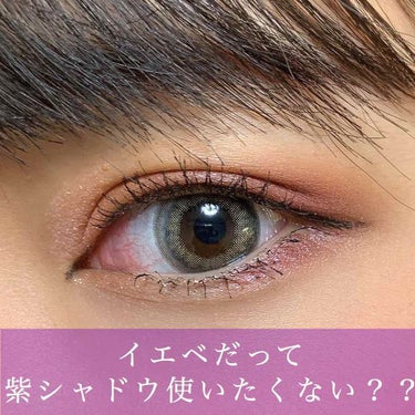 ガナッシュ アンド プラリネ アイパレット/shu uemura/アイシャドウパレットを使ったクチコミ（1枚目）