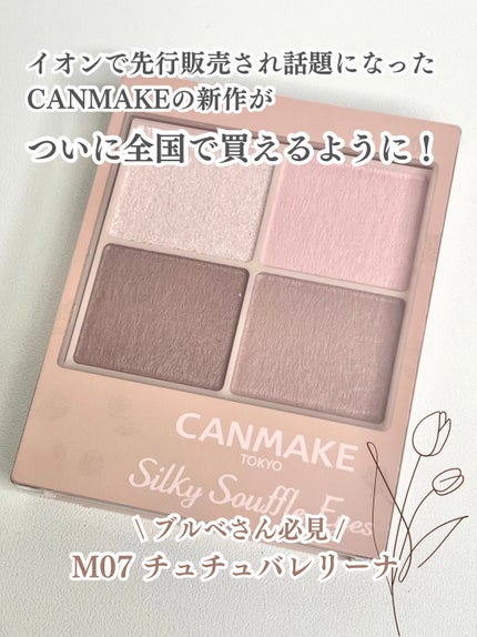 シルキースフレアイズ(マットタイプ)/キャンメイク/アイシャドウパレットを使ったクチコミ(2枚目)