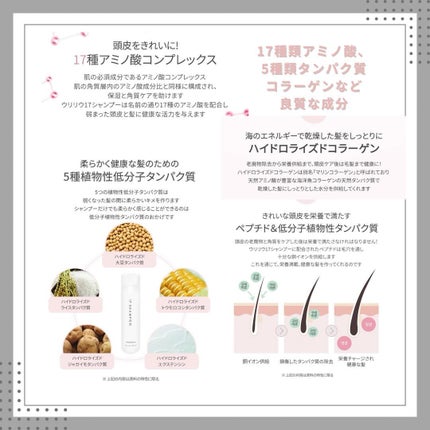 17 シャンプー/wooliliwoo/市販シャンプーを使ったクチコミ(6枚目)