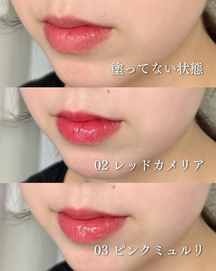 ナチュラルブルームリップオイルセラム 3色セット/PINATE/リップグロスを使ったクチコミ(5枚目)