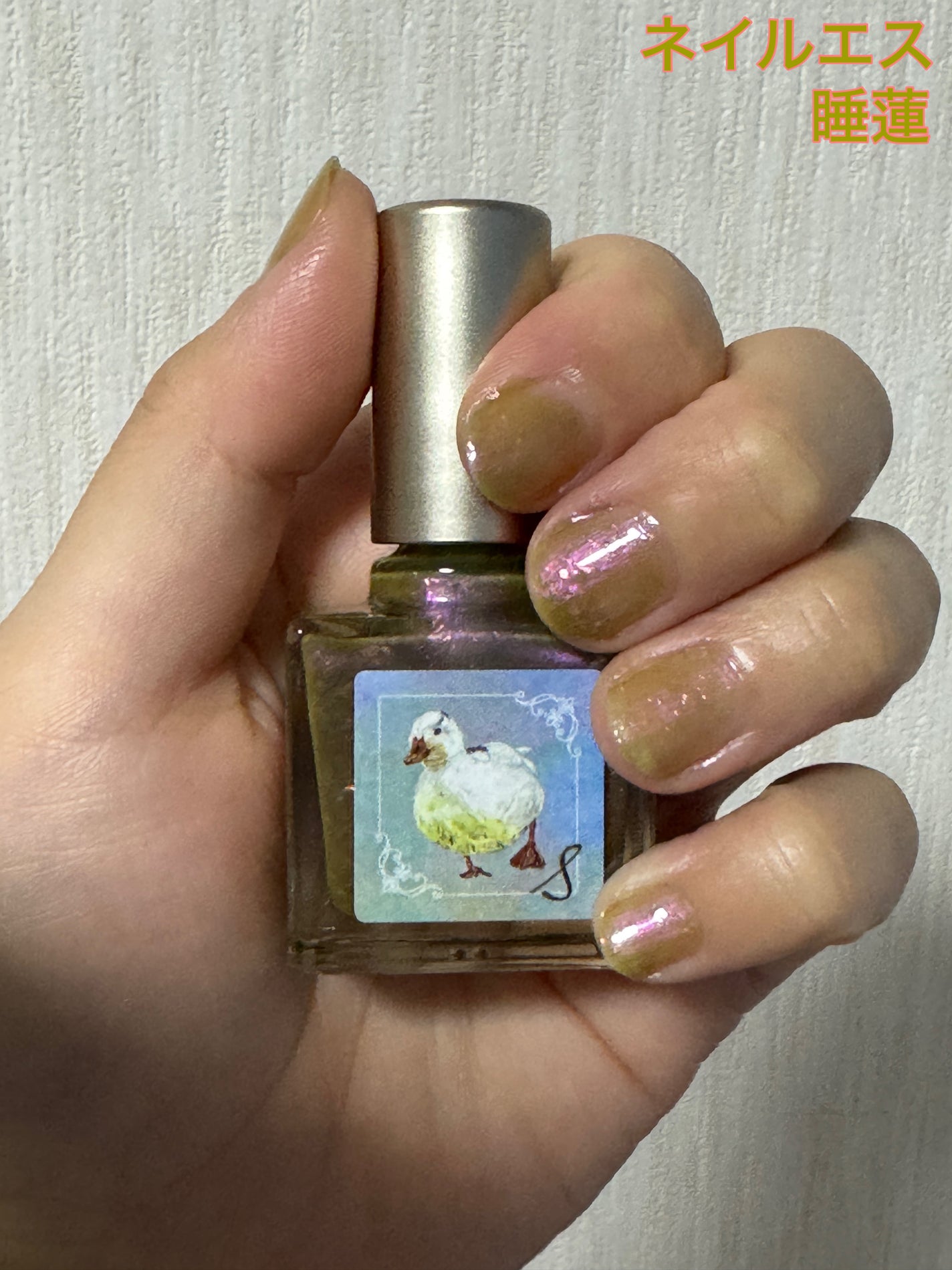 ネイルエス/ nail S(ネイルエス) /マニキュアを使ったクチコミ(1枚目)