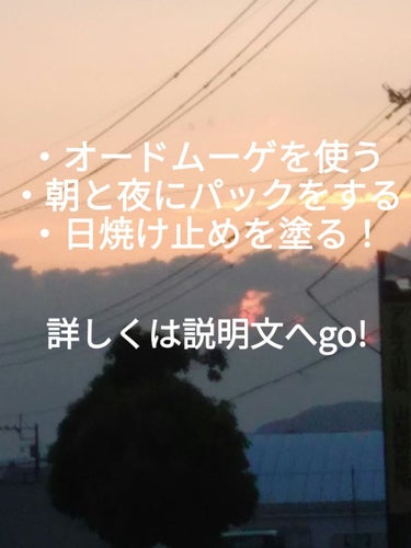 泡洗顔料 しっとりタイプ/オードムーゲ/泡洗顔を使ったクチコミ（2枚目）