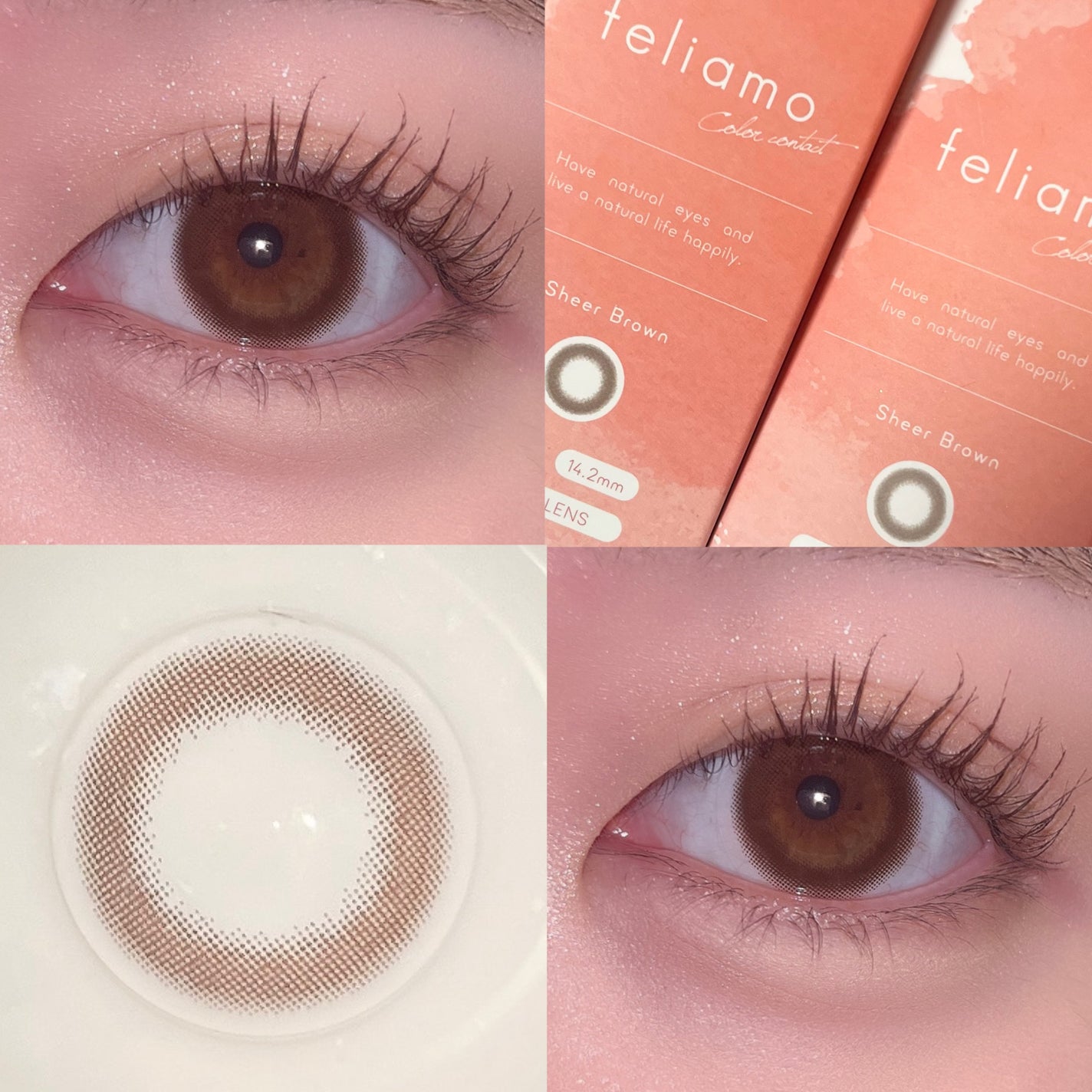 feliamo 1day/feliamo/ワンデー(1DAY)カラコン by Aya🤍フォロバ