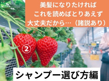 ー紹介ーーーーーーーーーーーーーーーーー
使ってきたシャンプー＆リンスは30種類以上
美容室は色々な所を月2回程な
結構な美髪オタクのプン子でございます
ーーーーーーーーーーーーーーーーーーーー

シャ