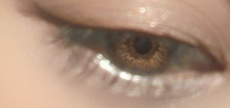 ニュアンスオンアイシャドウ/CEZANNE/アイシャドウパレットを使ったクチコミ（1枚目）