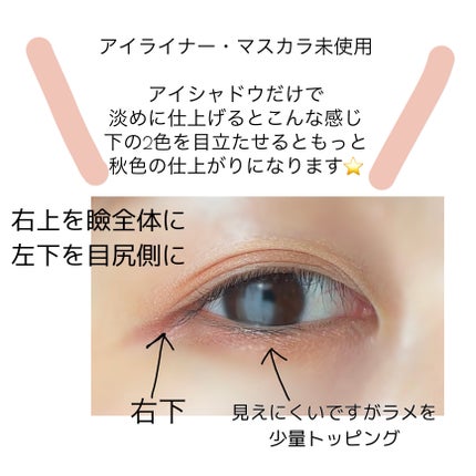 ビタートーンアイシャドウ/CEZANNE/パウダーアイシャドウを使ったクチコミ(5枚目)