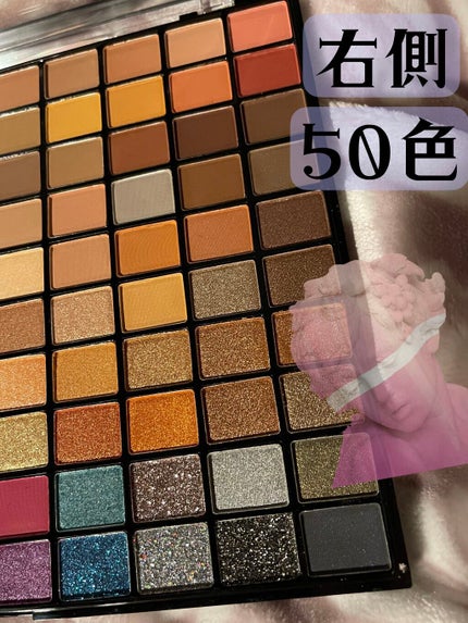 プロフェッショナルボリューム100カラー/Dolly Angel/アイシャドウパレットを使ったクチコミ(3枚目)