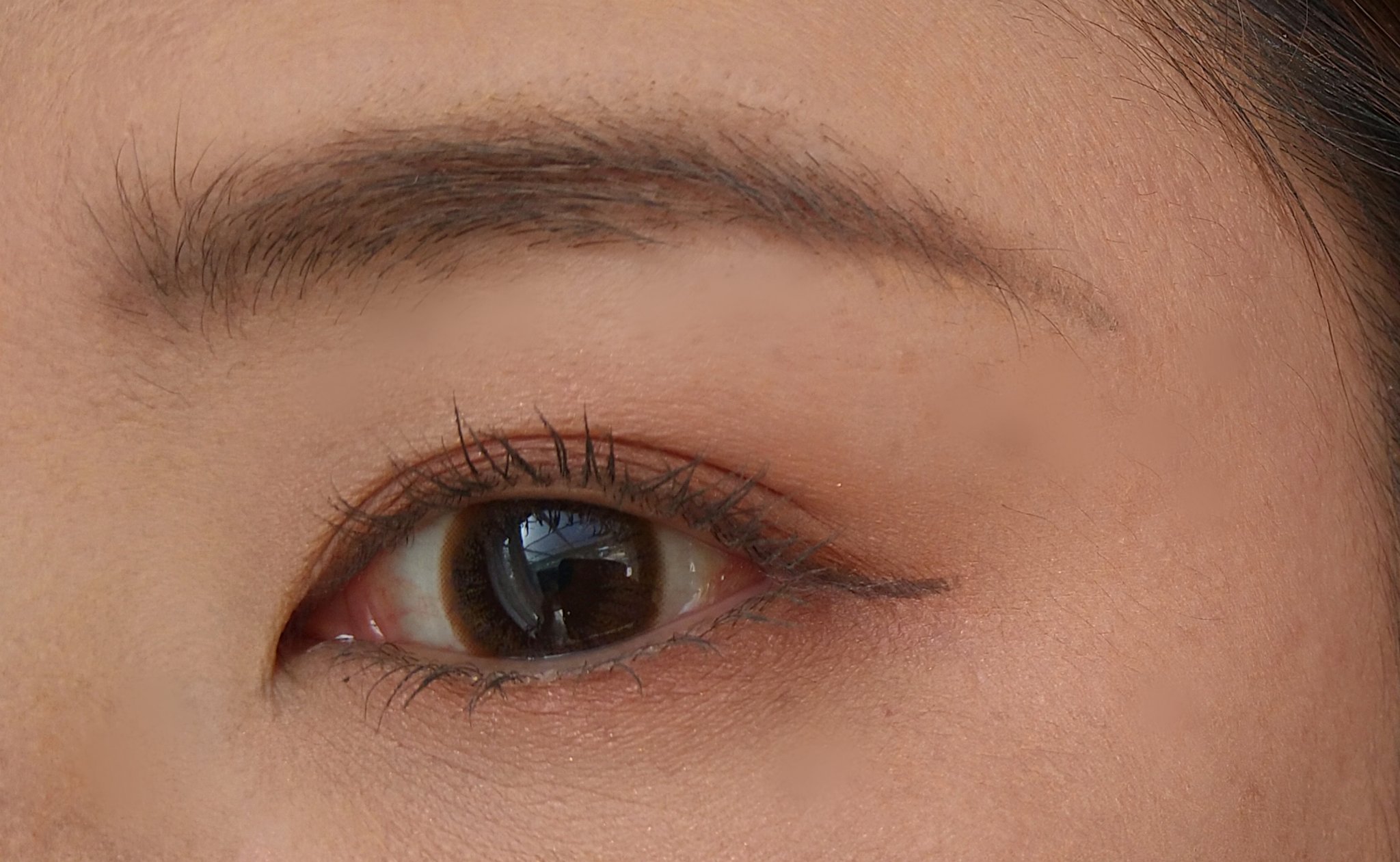 デザイニングブラウンアイズ EX-1 スプリングブラウン(限定)/KATE/アイシャドウパレットを使ったクチコミ（2枚目）