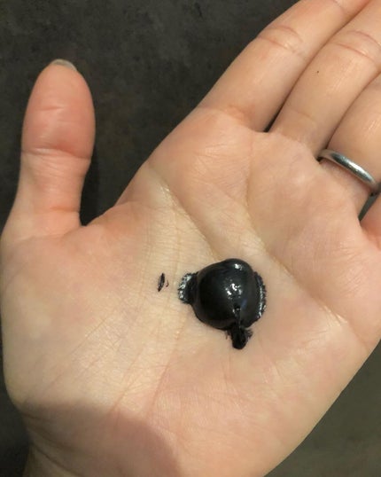 ROOT VANISH 白髪染めカラーシャンプー/ トリートメント/綺和美/市販シャンプーを使ったクチコミ(3枚目)