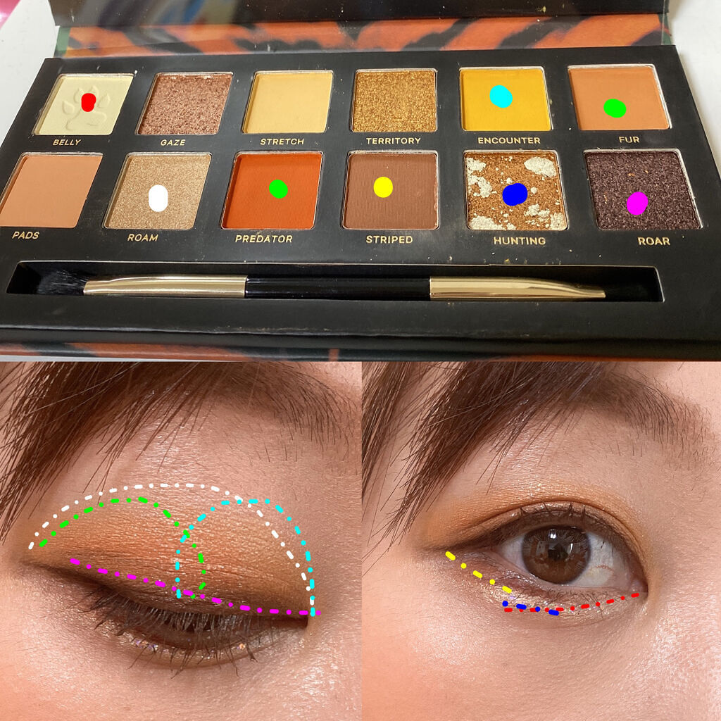 エクスプローラ12色 動物アイシャドウパレット/PERFECT DIARY/アイシャドウパレットを使ったクチコミ（2枚目）