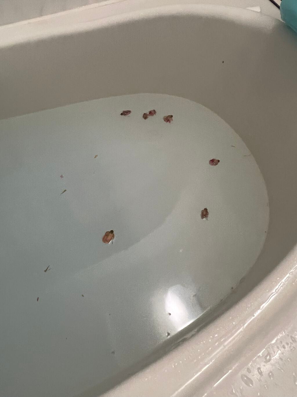 ティスティー トスティー/ラッシュ/炭酸系入浴剤を使ったクチコミ(6枚目)