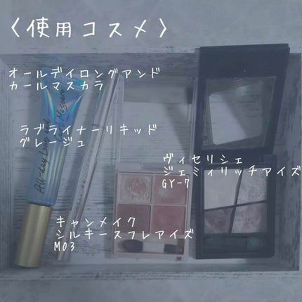 ジェミィリッチ アイズ/Visée/アイシャドウパレットを使ったクチコミ(4枚目)