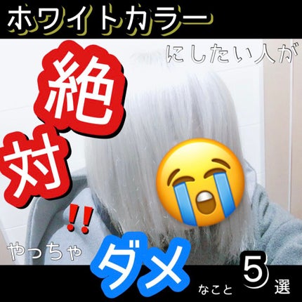 を使ったクチコミ(1枚目)