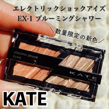 エレクトリックショックアイズ  EX-1 ブルーミングシャワー/KATE/アイシャドウパレットを使ったクチコミ（1枚目）