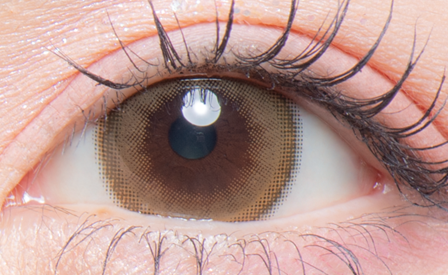 colors 1day ナチュラルヘーゼルブラウン