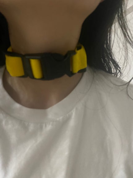 光る首輪/Qoo10/その他を使ったクチコミ(9枚目)