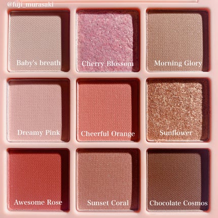 ワンピックアイシャドウパレット/APLIN/アイシャドウパレットを使ったクチコミ(4枚目)