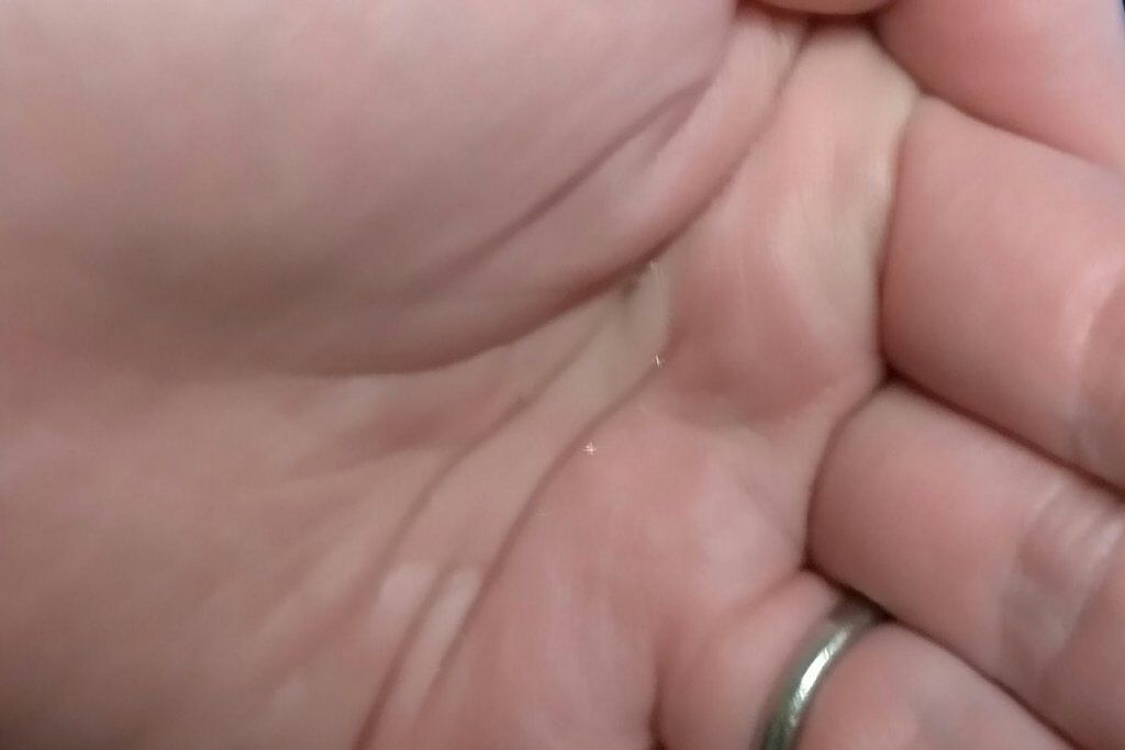 モイスチャーローション/F organics(エッフェ オーガニック)/化粧水を使ったクチコミ(3枚目)